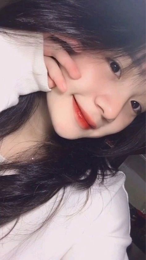 金梅瓶電視