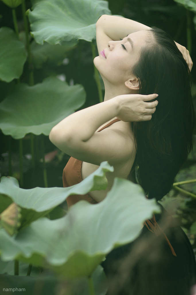 白嫖著聯(lián)盟