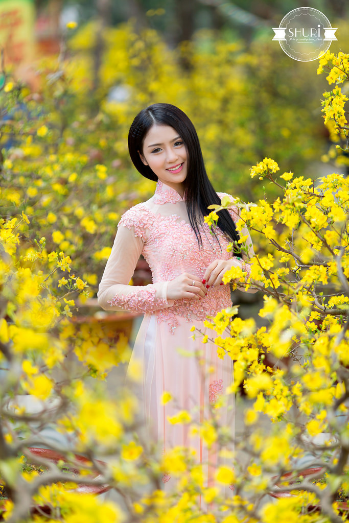 新來的女秘書