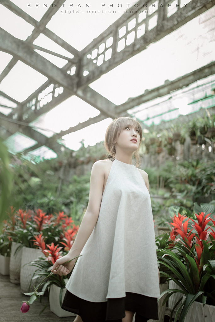 六個(gè)瑞典女孩