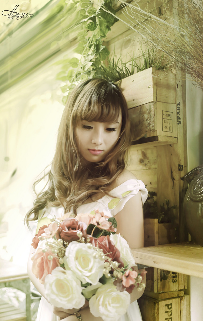 梅花紅桃3132