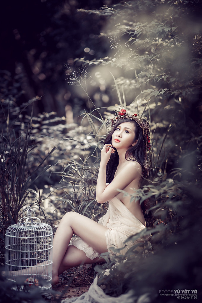 傲嬌與偏見免費(fèi)完整版在線觀看